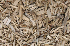 biomass boilers Long Crichel